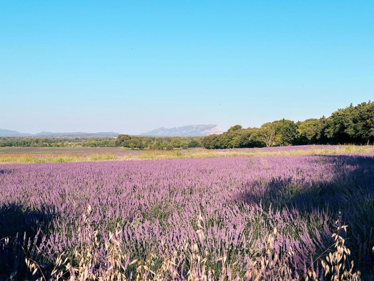 Maison Francoise Bed and Breakfast Aix-en-Provence Exterior foto