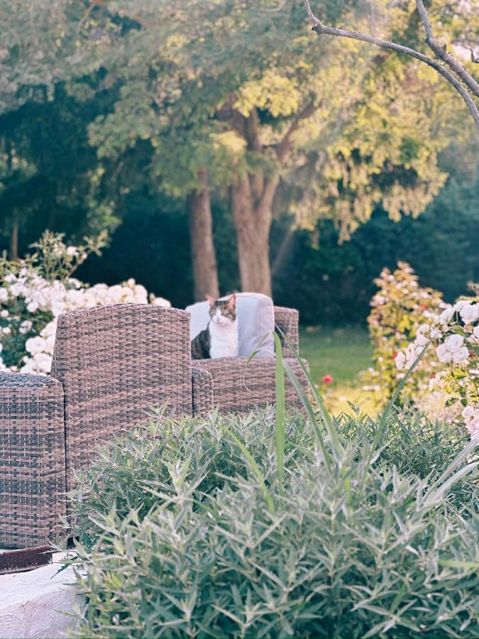 Maison Francoise Bed and Breakfast Aix-en-Provence Exterior foto